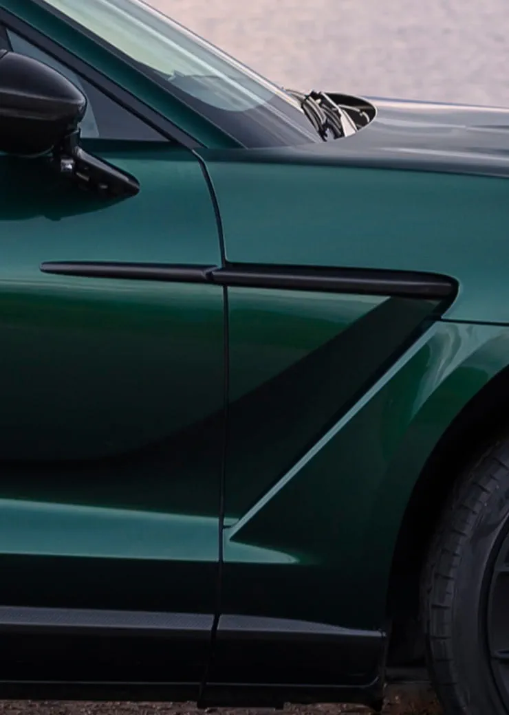 Aston Martin Front Splitter and Side Sills