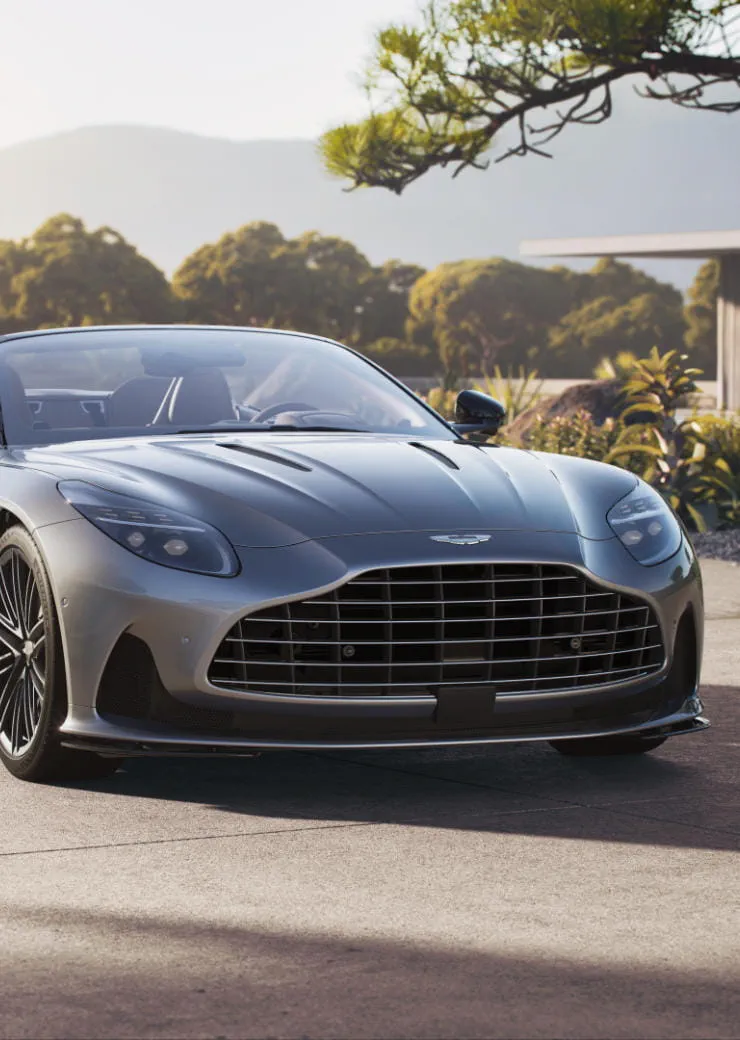 Aston Martin Grille